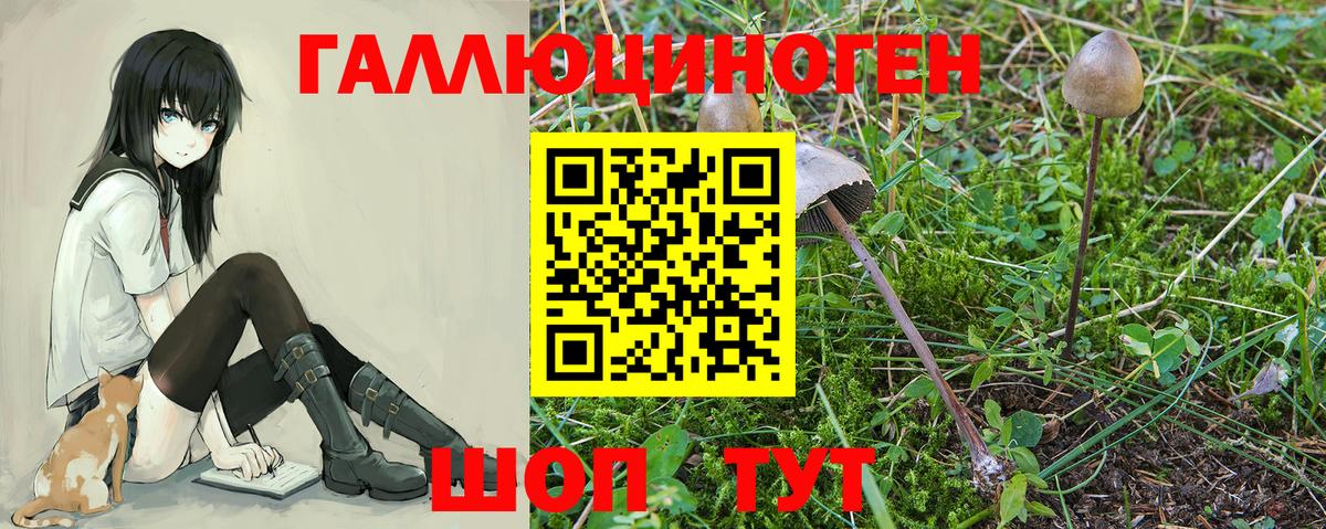 Тверь  Псилоцибиновые грибы Psilocybe  Вход с VPN  Галлюциногенные грибы MAGIC MUSHROOMS 