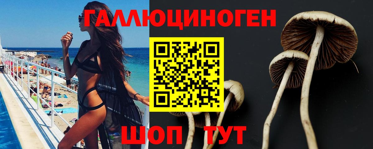 Псилоцибиновые грибы прущие грибы Тверь